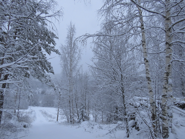 vinter